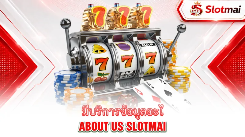 about-us-slotmai-about-us-what-information-services-does-slotmai-provide