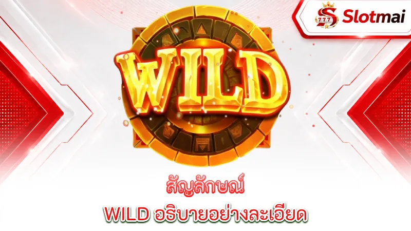 slot-features-explained-the-wild-symbol-is-explained-in-detail