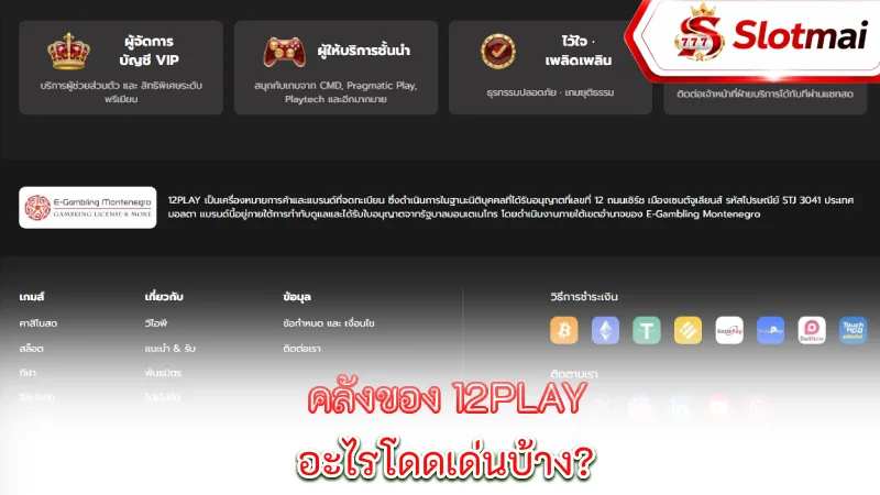 12play-what-are-some-of-the-standout-features-in-12play-s-library