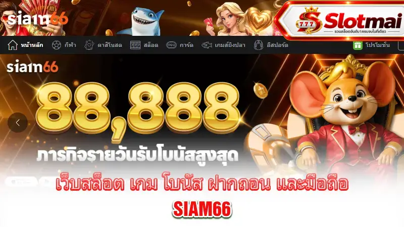 siam66-review