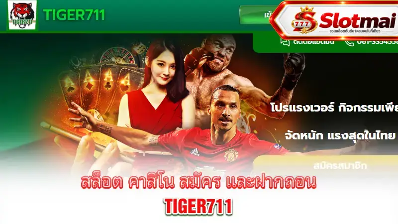 tiger711-review