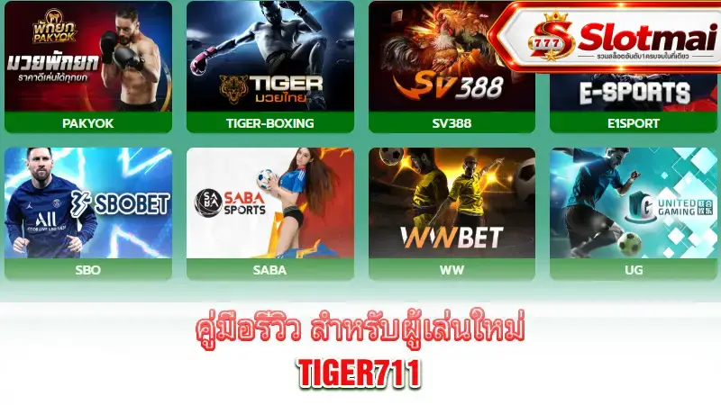 tiger711-beginner-review-guide