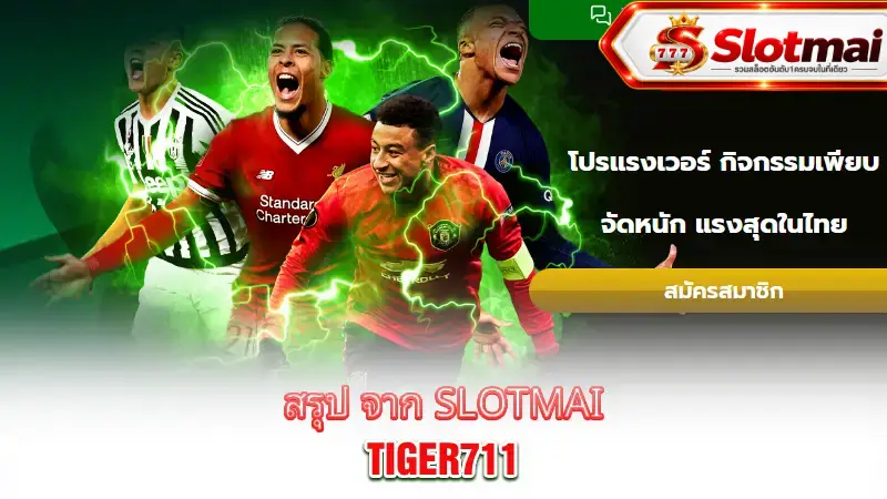 tiger711-conclusion