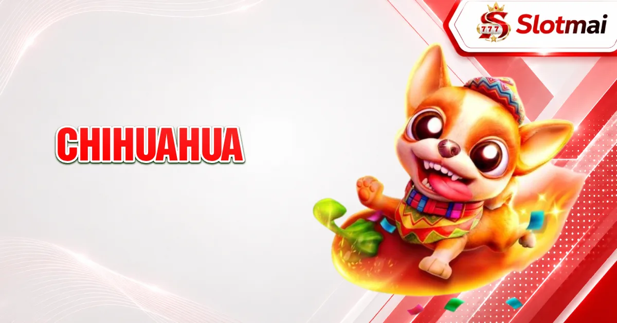 Chihuahua